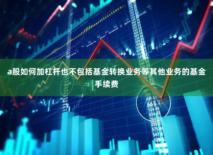 a股如何加杠杆也不包括基金转换业务等其他业务的基金手续费
