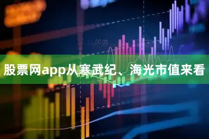 股票网app从寒武纪、海光市值来看