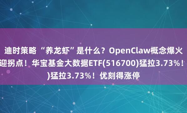 迪时策略 “养龙虾”是什么?OpenClaw概念爆火,云计算或迎拐点!华宝基金大数据ETF(516700)猛拉3.73%!优刻得涨停