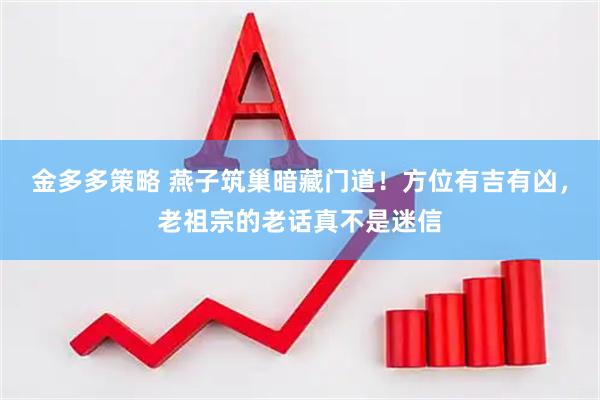 金多多策略 燕子筑巢暗藏门道！方位有吉有凶，老祖宗的老话真不是迷信